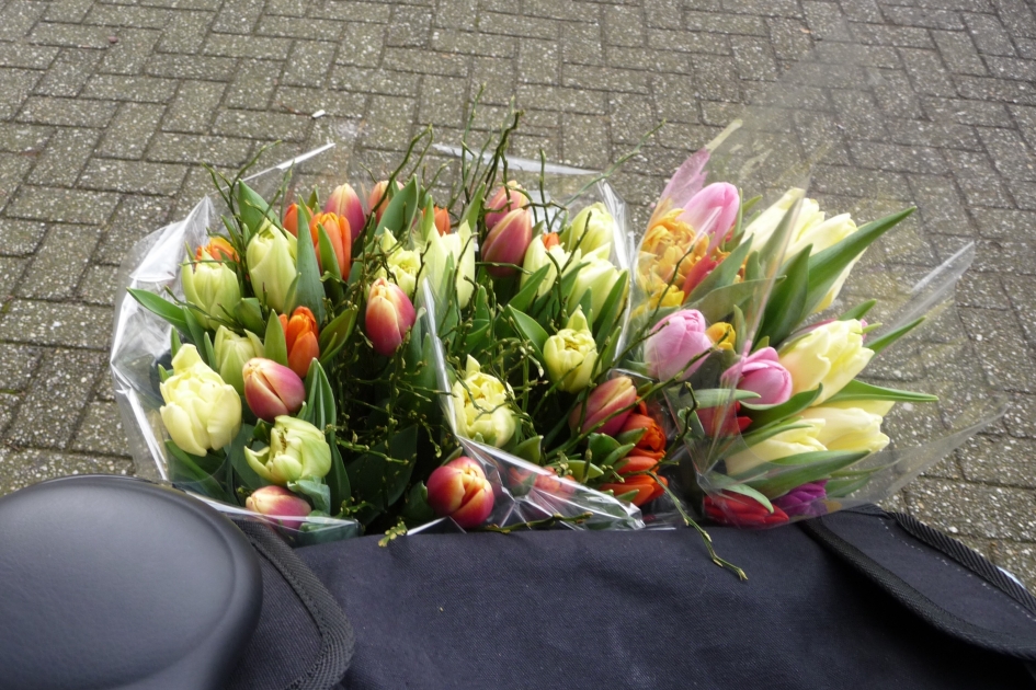 Genieten... - Planten - 