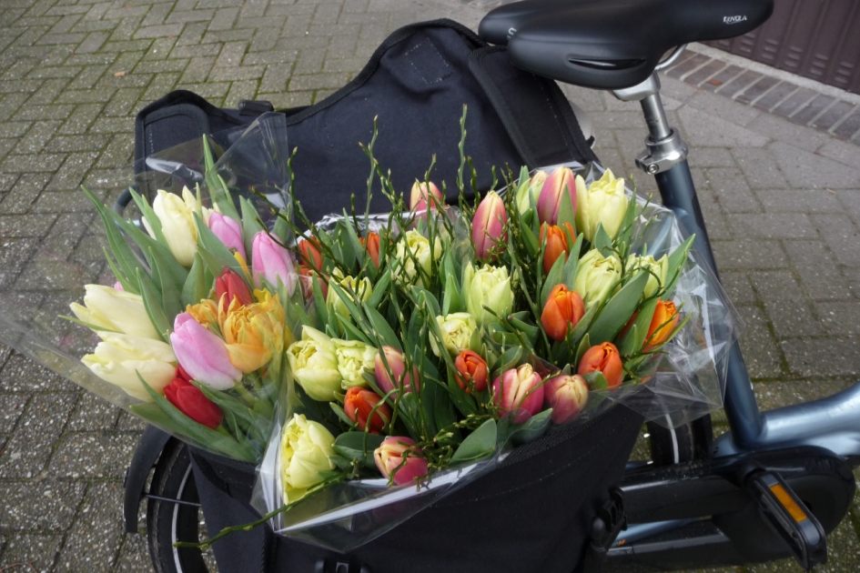 Hier word ik blij van.. - Planten - 