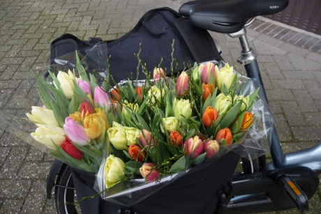 Hier word ik blij van..