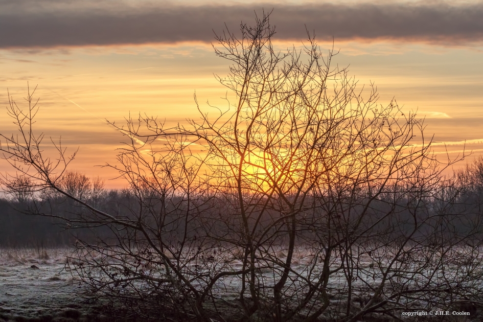 Koud - Weer en landschap - 