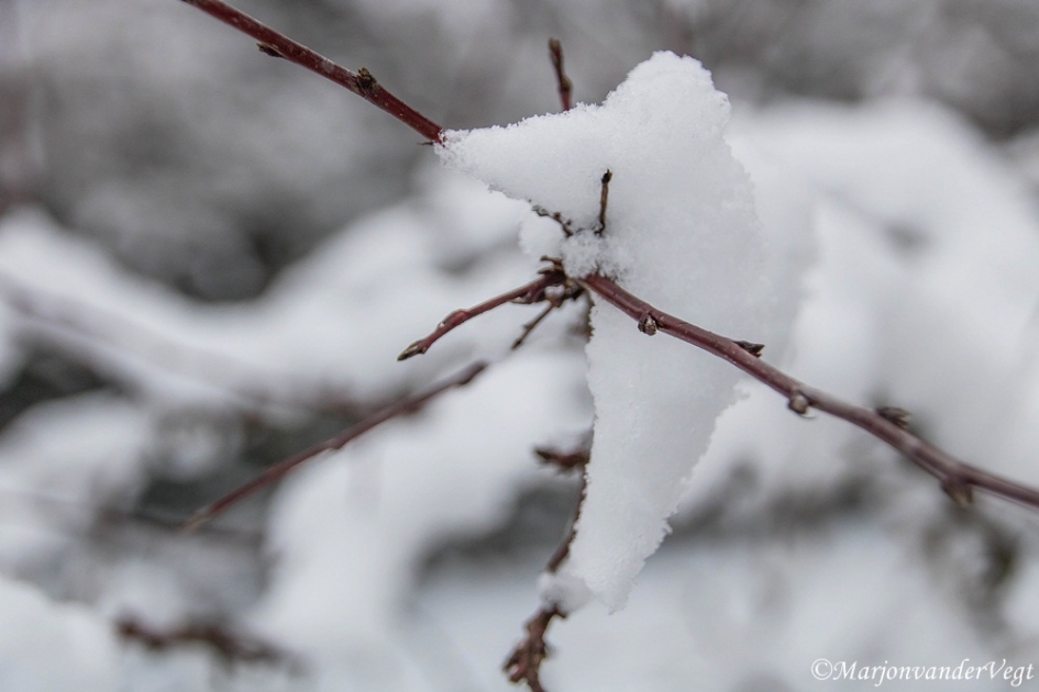 Kracht inspanning - Weer en landschap - sneeuw