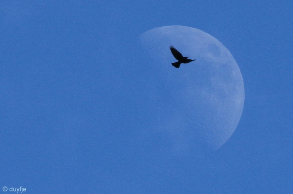naar de maan - Weer en landschap - 