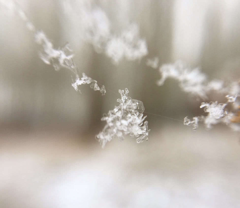 Sneeuw ketting - Weer en landschap - 