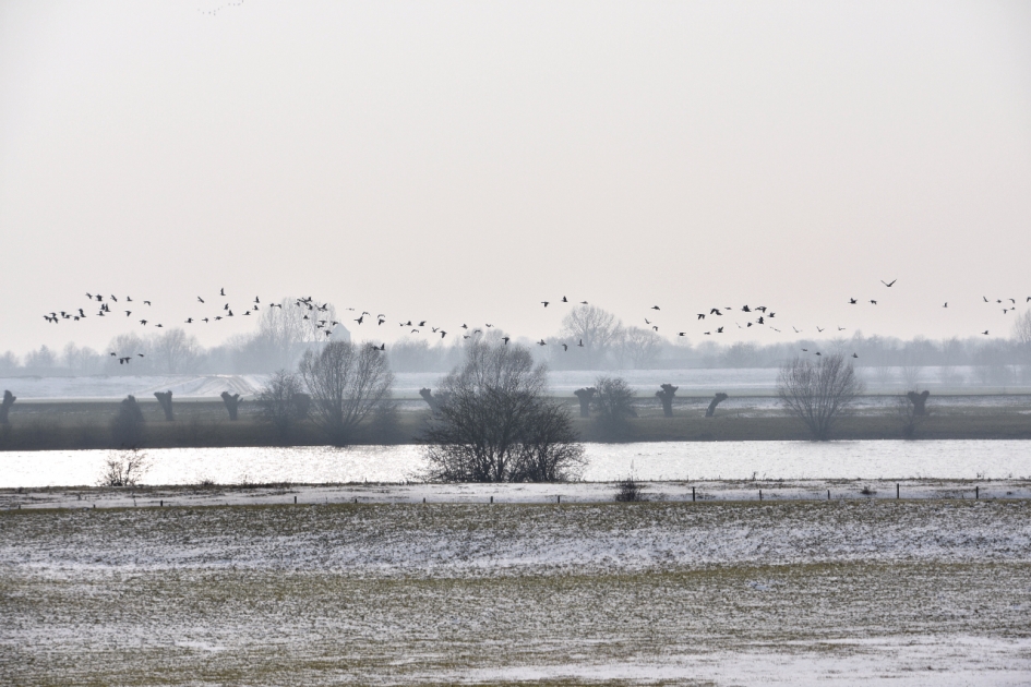 Uiterwaarden van de Lek - Weer en landschap - 