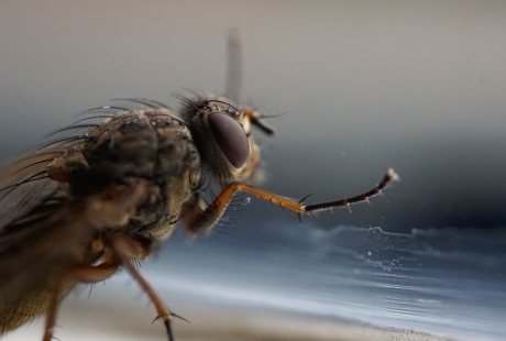 Uitkijkend naar de lente