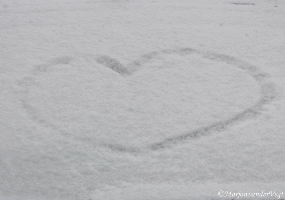 Voor de Ijskoningin - Weer en landschap - Sneeuwhart