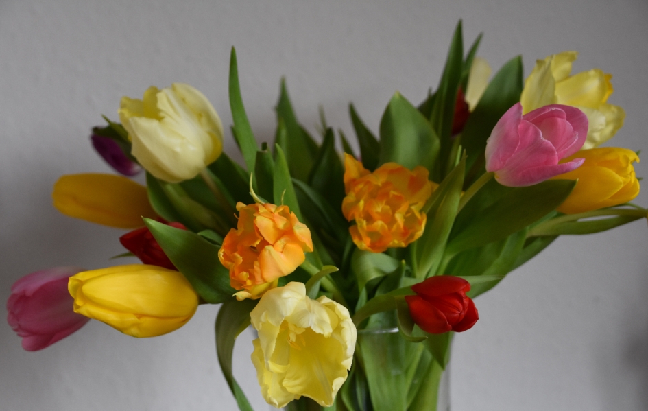 Vrolijk.. - Planten - 