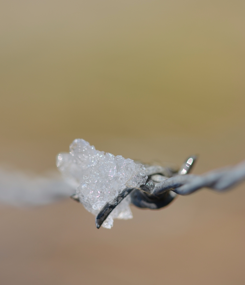 Winterdetail - Weer en landschap - 