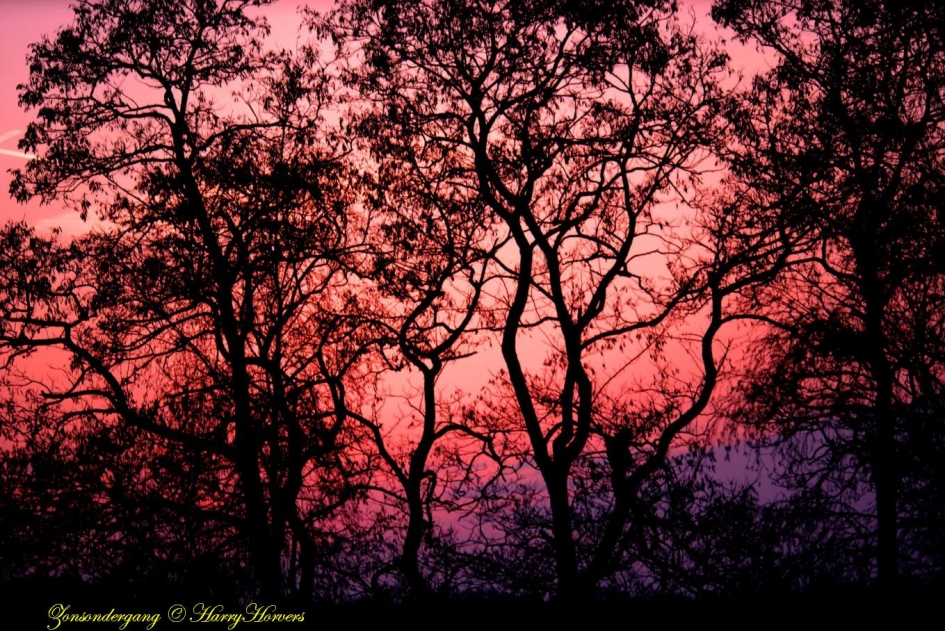 Zonsondergang - Weer en landschap - 