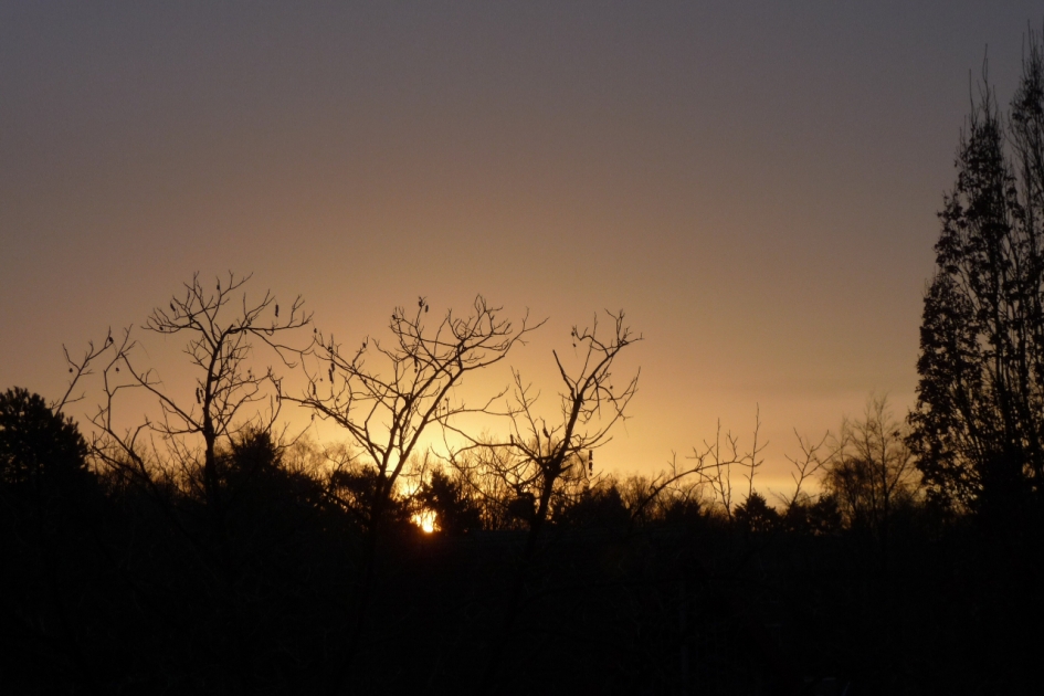 Zonsopkomst - Weer en landschap - 