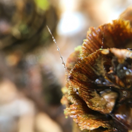 Aan elkaar verbonden