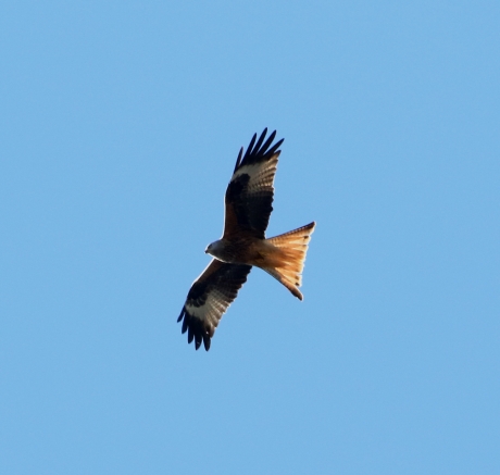 Boven ons huis.