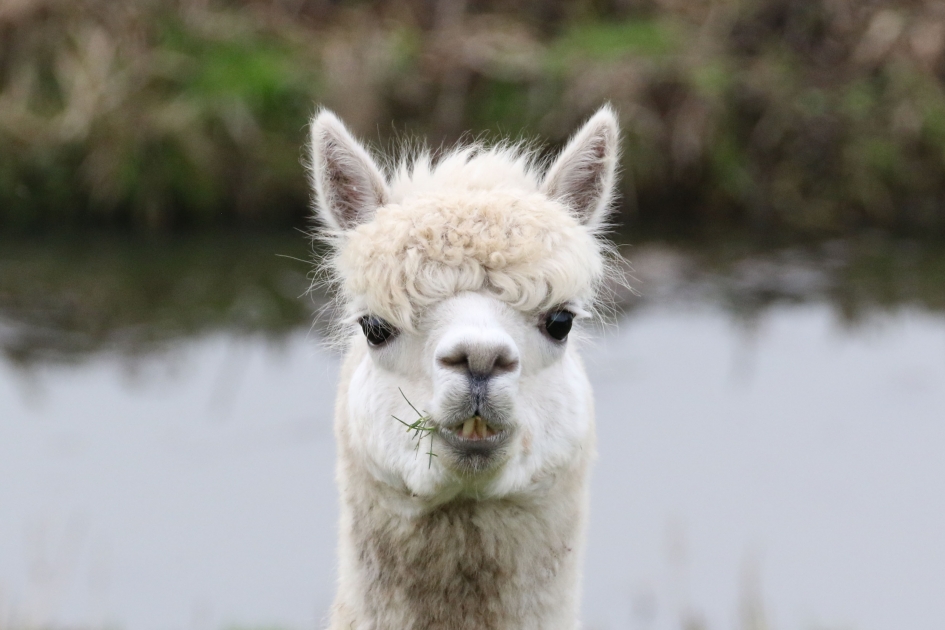 Prettig weekend allemaal - Zoogdieren - 