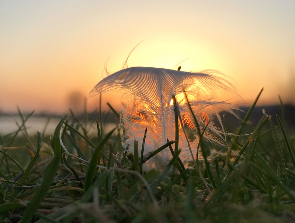 Veertje - Weer en landschap - 