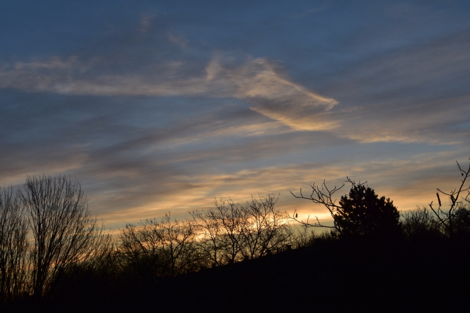Vroeg - Weer en landschap - 