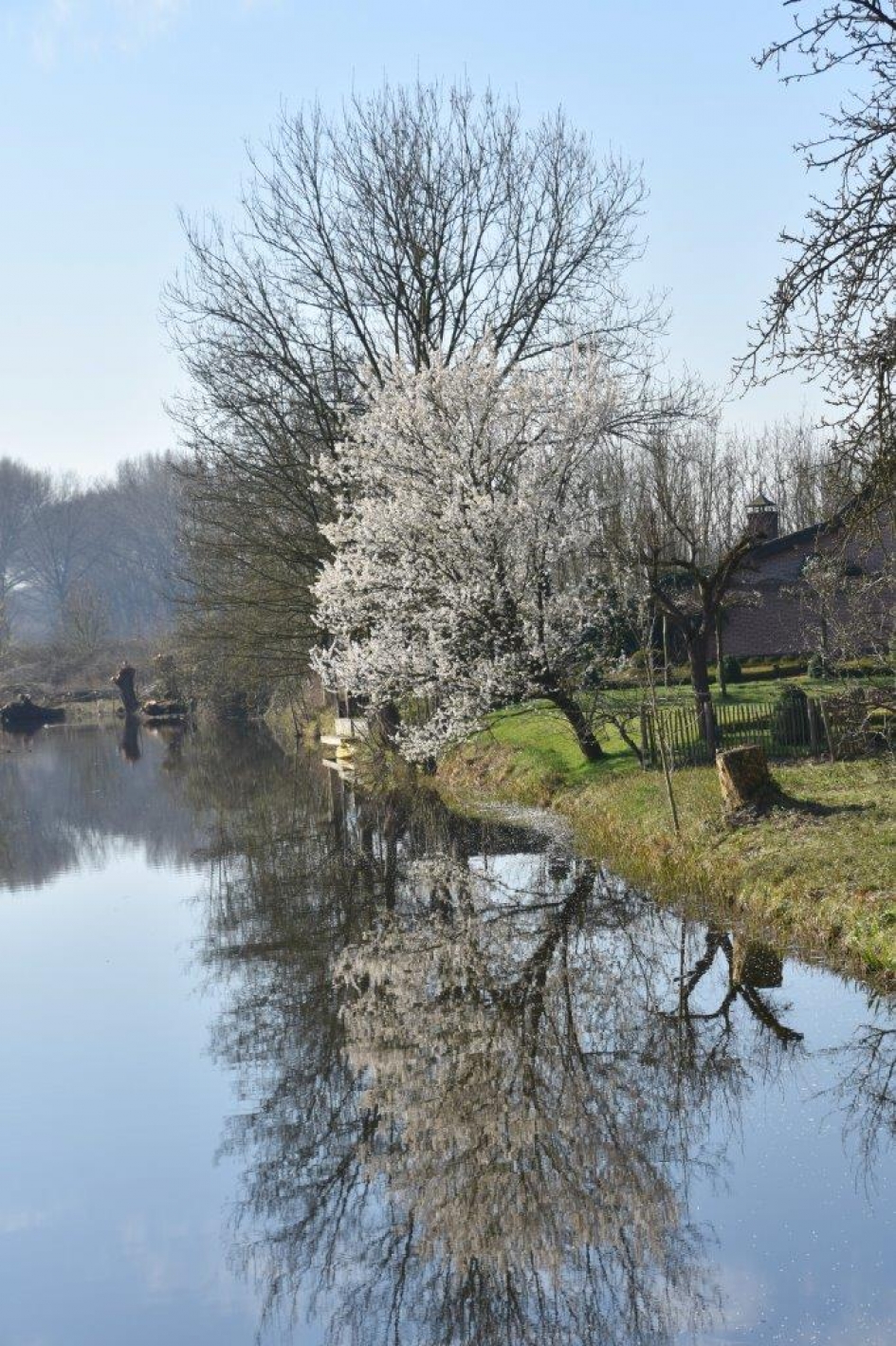 Zeister Grift - Weer en landschap - 