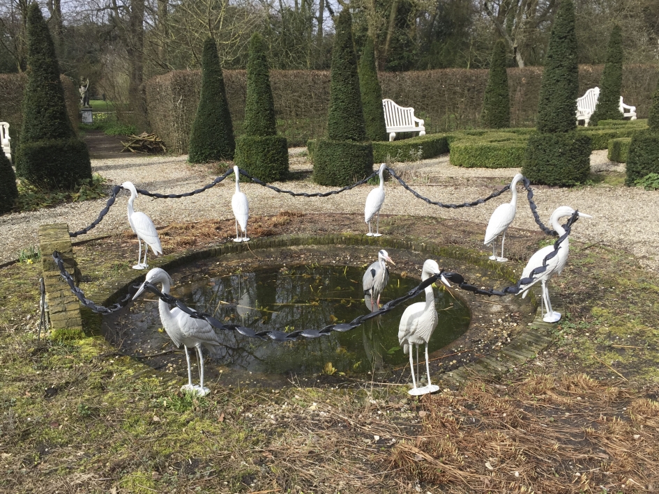 Zoek de reiger - Vogels - Blauwe reige