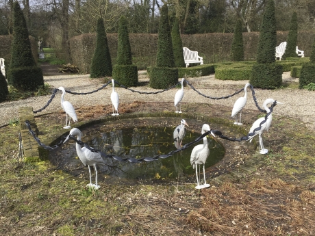 Zoek de reiger