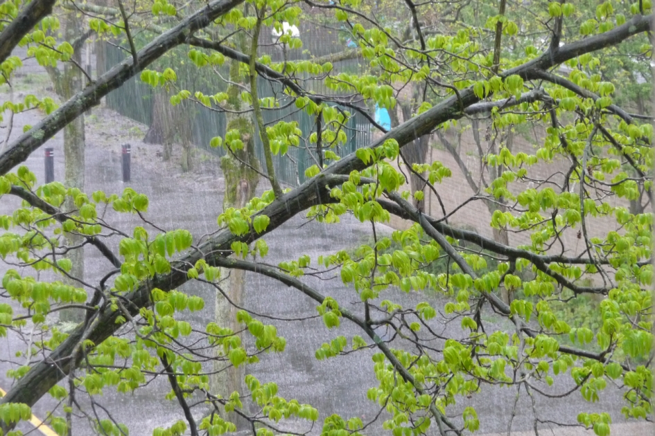 1e Paasdag, Hagel - Weer en landschap - 