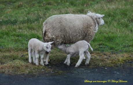 even een slokje nemen