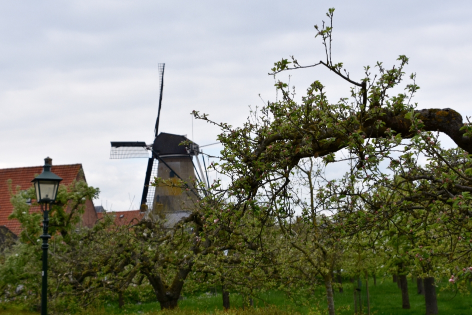 Molen Oog in 't Zeil - Weer en landschap - 