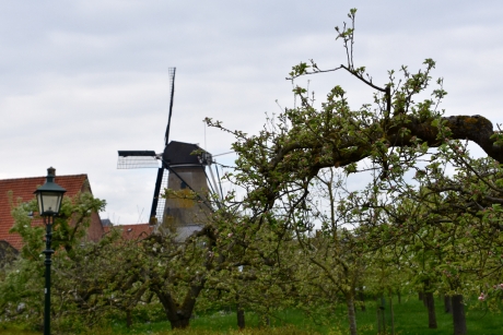 Molen Oog in 't Zeil