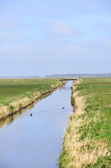 Polder landschap