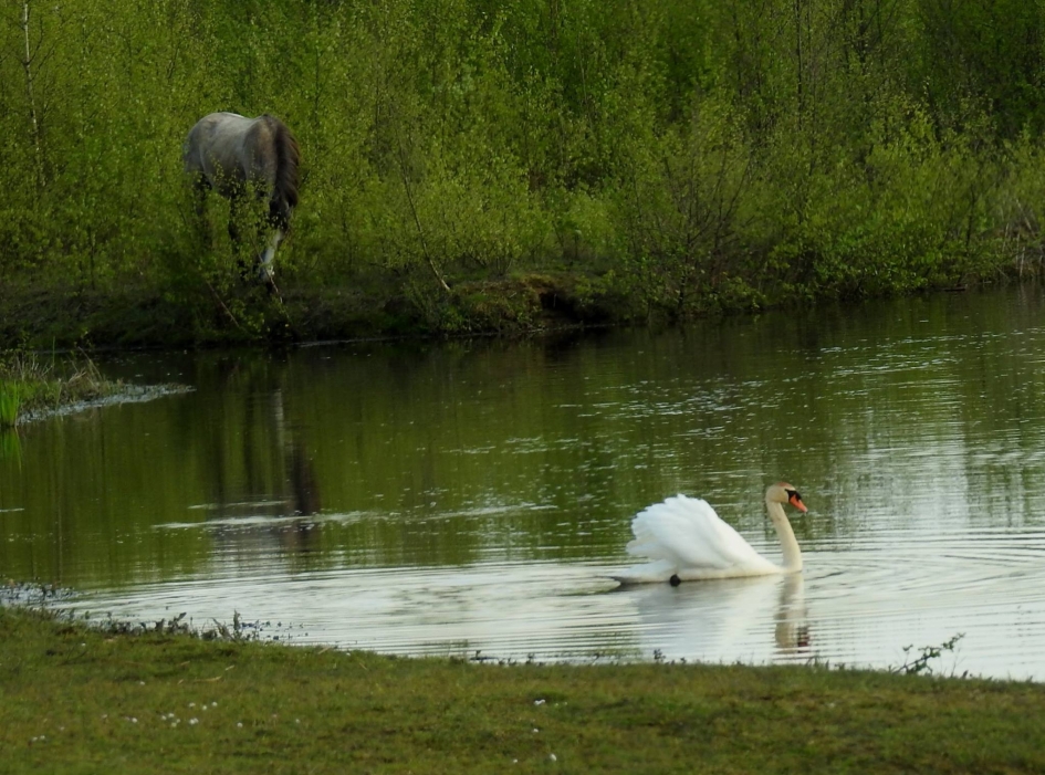 Samen op de foto - Weer en landschap - 