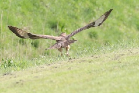take-off