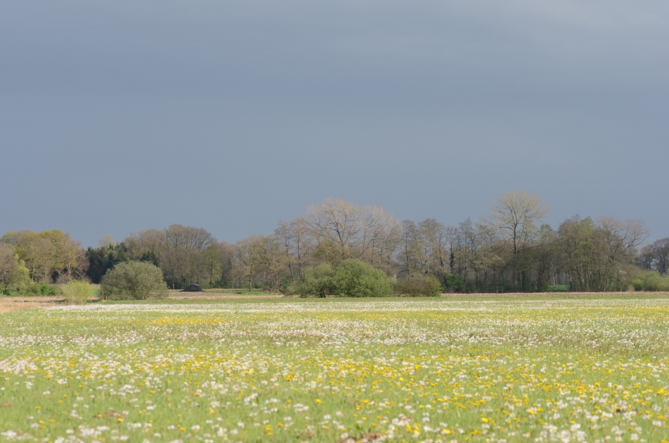 Vechtdal - Weer en landschap - 