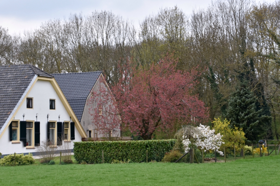 Voorjaar - Weer en landschap - 