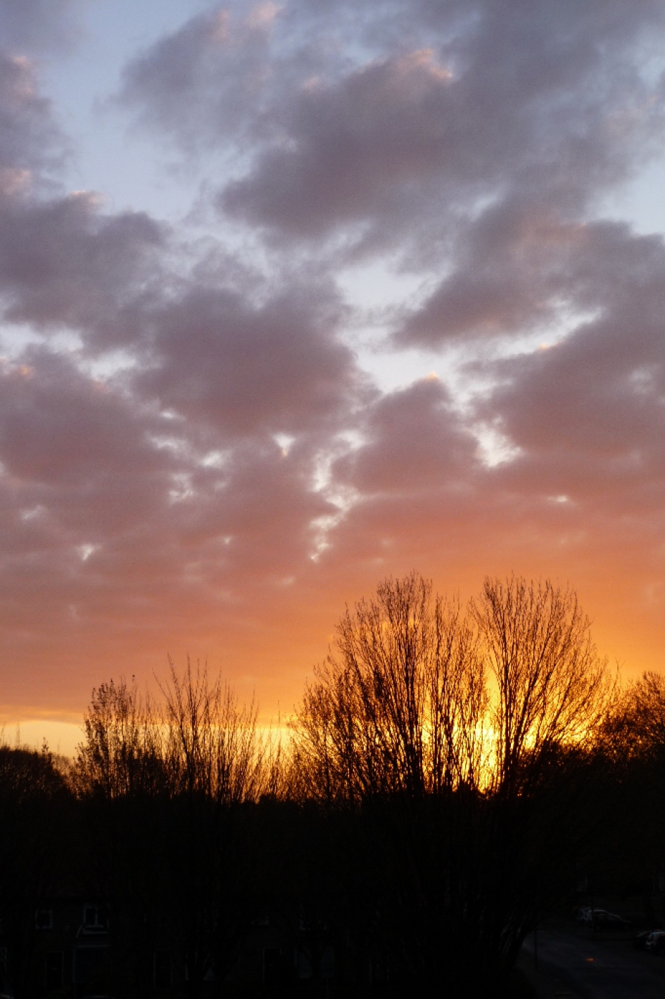 Zonsopkomst - Weer en landschap - 