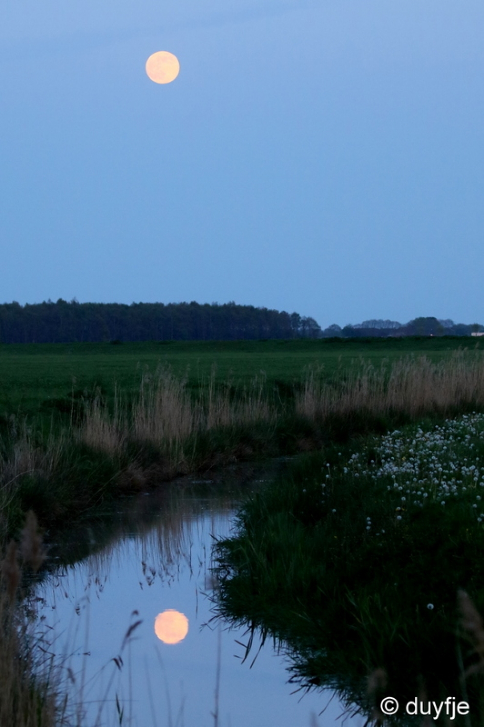2 the moon - Weer en landschap - 