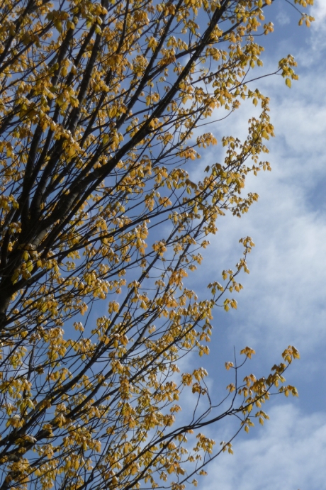 Blauwe lucht maakt alles mooier