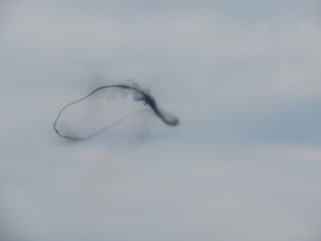 een mooie ronde zwerm muggen kwam als een tornado voorbij