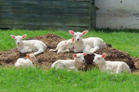 Een relaxed weekend voor alle Vroege Vogels fotografen