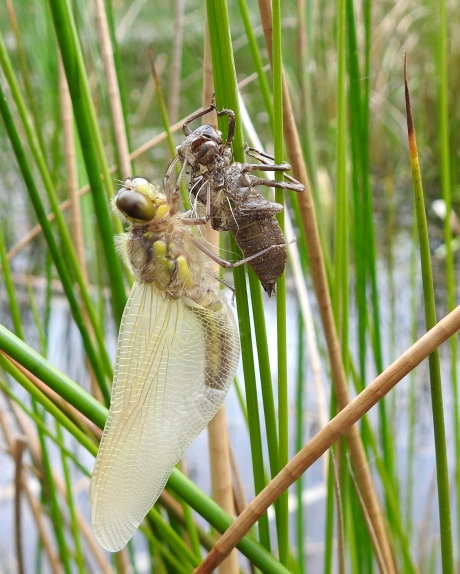 .....en nu opdrogen!
