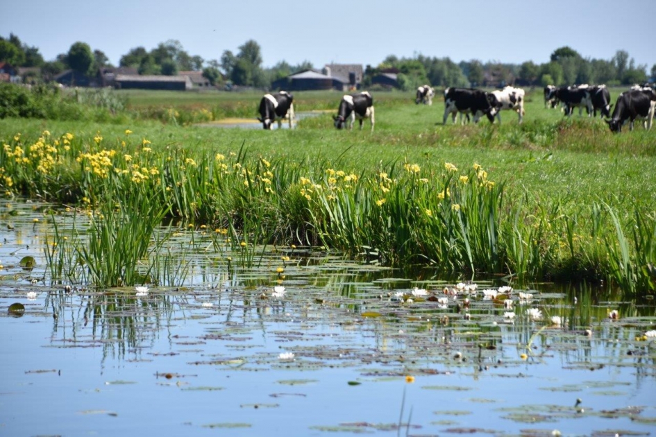 "Haagse School" - Weer en landschap - 