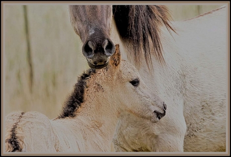 Hier ben ik veilig!!