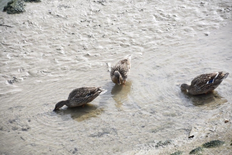 Is er iets te vinden?