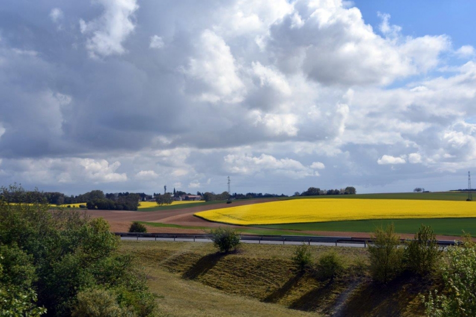 Koolzaadveld - Weer en landschap - 