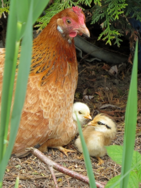 Hé, ben jij ook van mij?