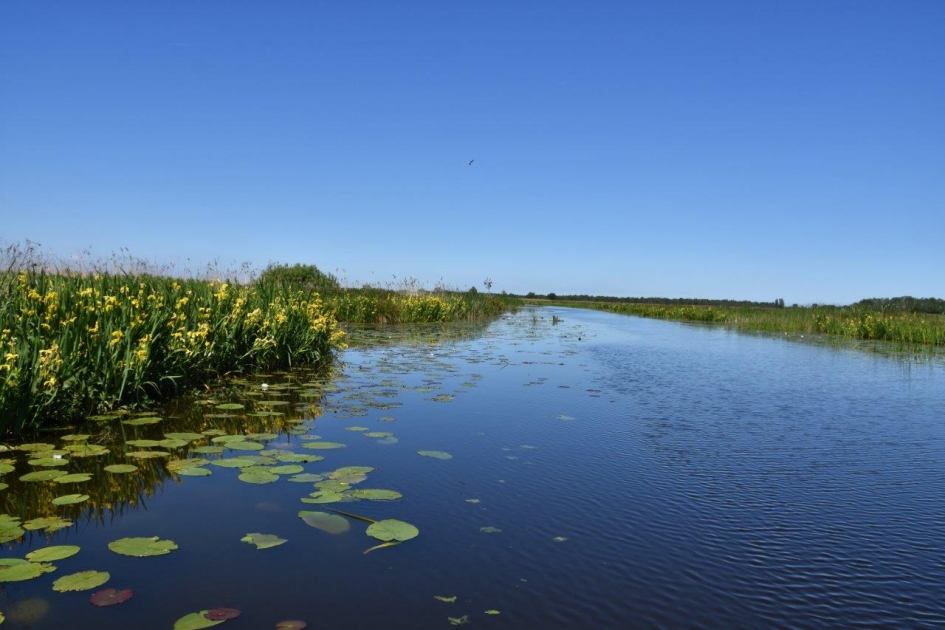 Nieuwkoopse Plassen - Weer en landschap - 