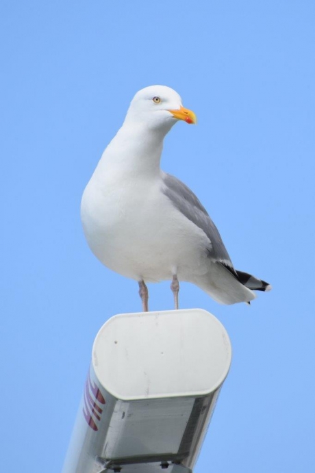 Op de top van de radar