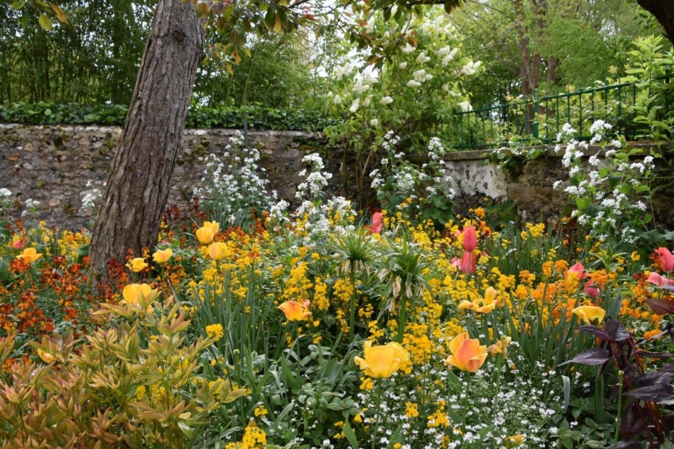 Weelderig - Planten - 