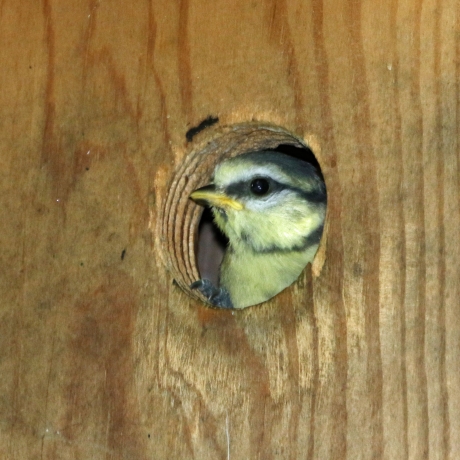 Wow! Dus dat is de buitenwereld...