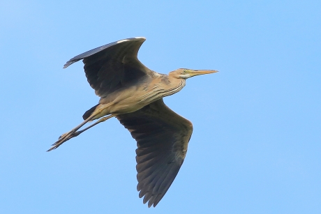 Against the wind ...
