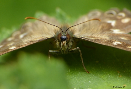 Heb ik iets van je aan ofzo?