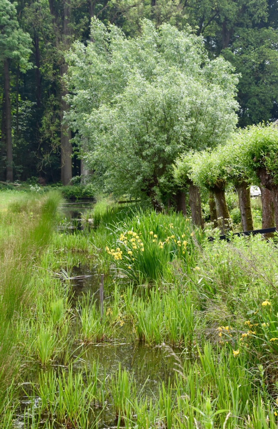 Landgoed Oostbroek - Weer en landschap - 