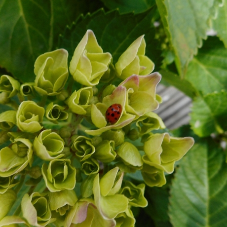 lekker uit de wind en in het zonnetje
